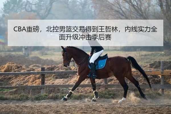 CBA重磅，北控男篮交易得到王哲林，内线实力全面升级冲击季后赛